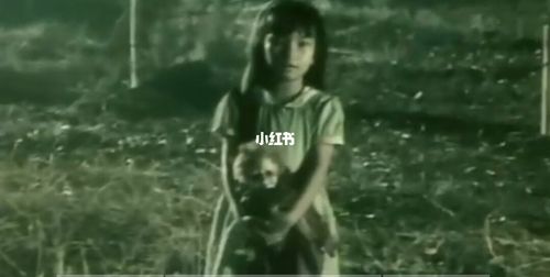 童年的回忆78每日一部恐怖片《咒乐园》_恐怖片_童年_电影推荐_电影