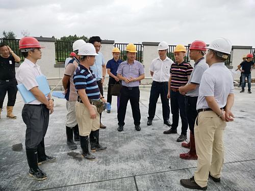 开平市领导陈伟成调研第二人民医院迁建项目