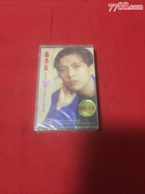 潘美辰