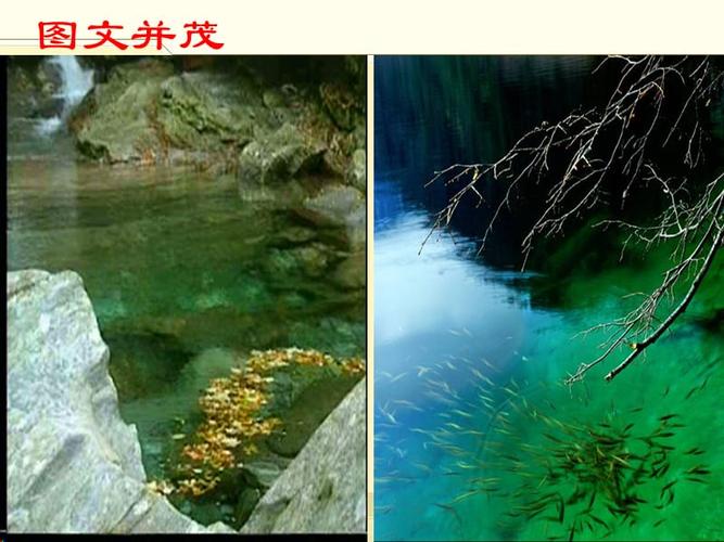 小石潭记2靳平月11ppt