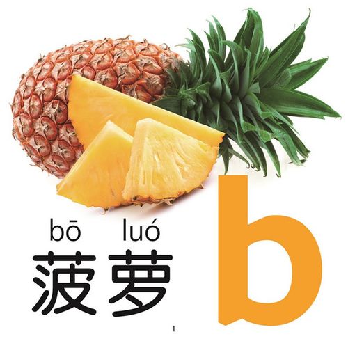 岁幼儿园学前班教材全套大班升一年级卡片 8 7 6 5 幼儿童看图学拼音