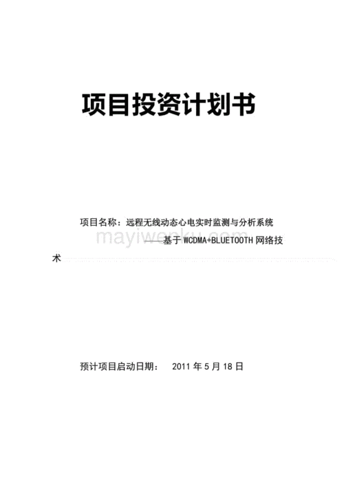 项目投资计划书-远程无线动态心电实时监测与分析系统--基于wcdma