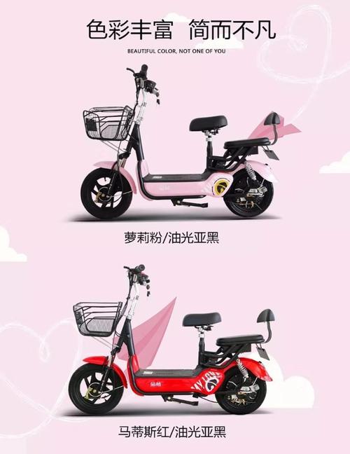 小红豆 金箭新款国标成人电动自行车48v小型电瓶车男女代步电动车_不