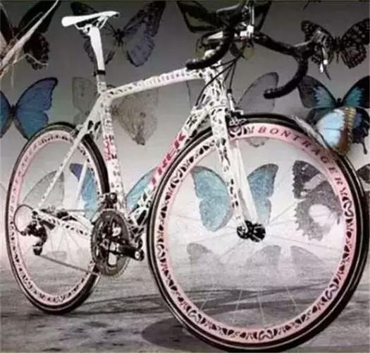 第1名:trekmandone蝴蝶自行车