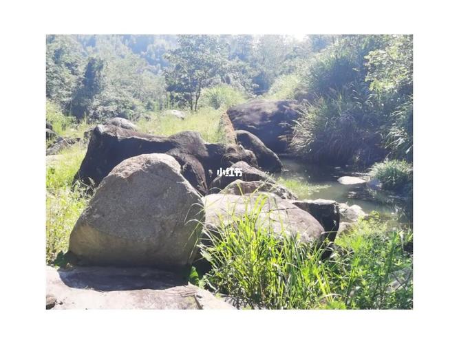 鹅卵石 老皮石 山石 景观石批发基地_景观石批发基地