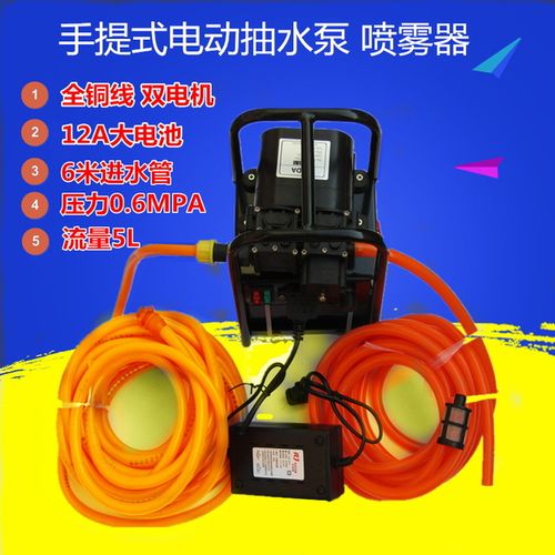 大电池抽水泵农用园林喷要喷雾器双电机水泵隔膜泵 12a 手提式移动