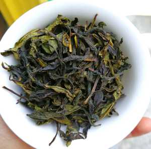 土山茶潮汕惠来