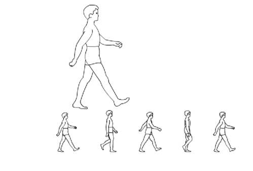 flash → 人侧面走路动画制作与走路动作分解