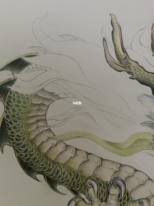 我的彩铅画~青龙~带步骤图