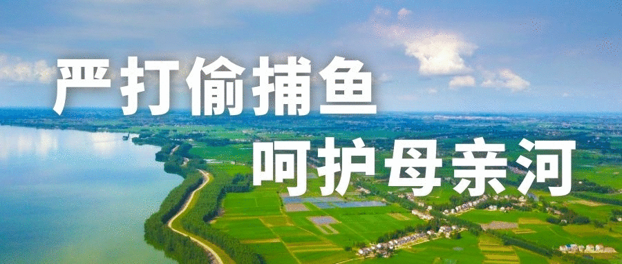 长江禁渔,为什么是十年?_腾讯新闻