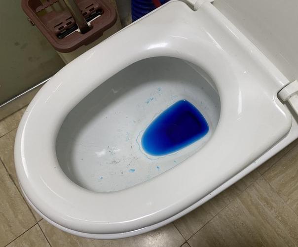 买到一个"永远不会脏的马桶",我一个洁癖用哭了