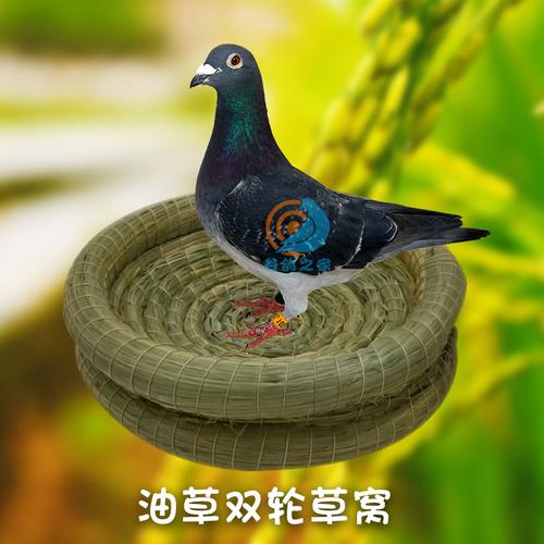 鸽子巢窝鸽窝草编孵蛋专用孵化窝草窝保暖赛信鸽用具鸽具用品大全