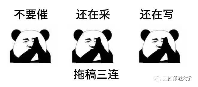 每天在写稿的崩溃边缘徘徊 在剪视频的熬夜日子里秃头