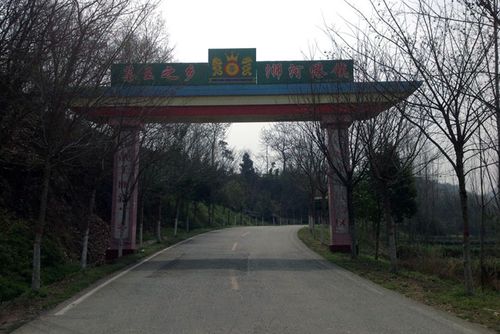 浉河港 大山毛尖茶 纯手工炒制 信阳毛尖 2016新茶 春尾二级 500g