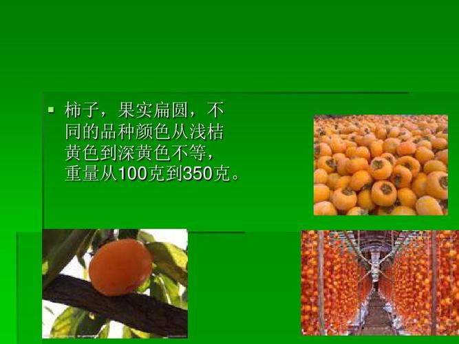 柿子ppt