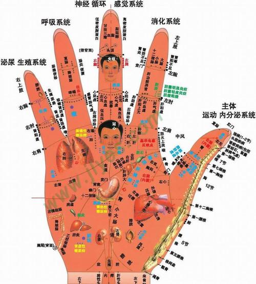 随着手诊法一同兴起的手疗法,中医养生,五脏六腑,面诊