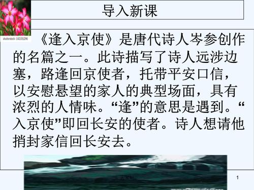 逢入京使2020实用版.ppt 19页