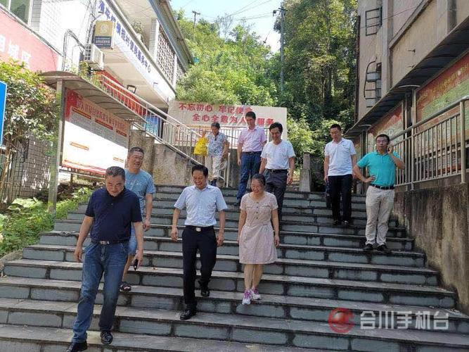 区领导到清平镇调研工作