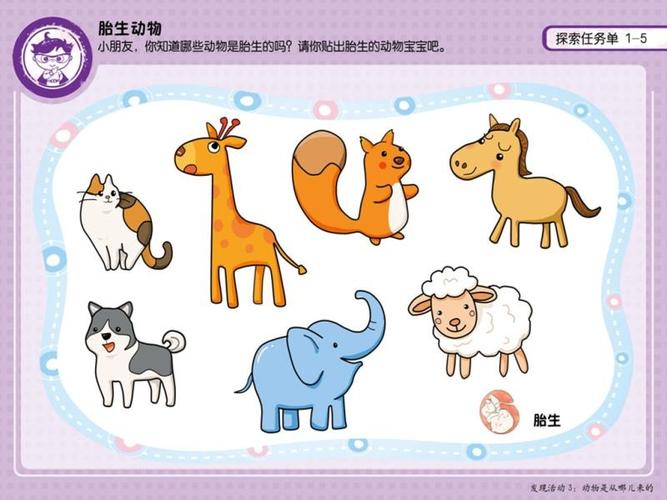 这些小动物都是胎生动物,你答对了吗?