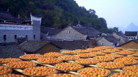 恭城瑶族自治县