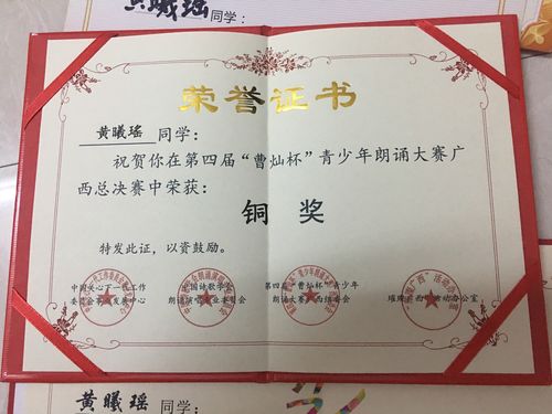 曹灿杯总决赛荣获铜奖