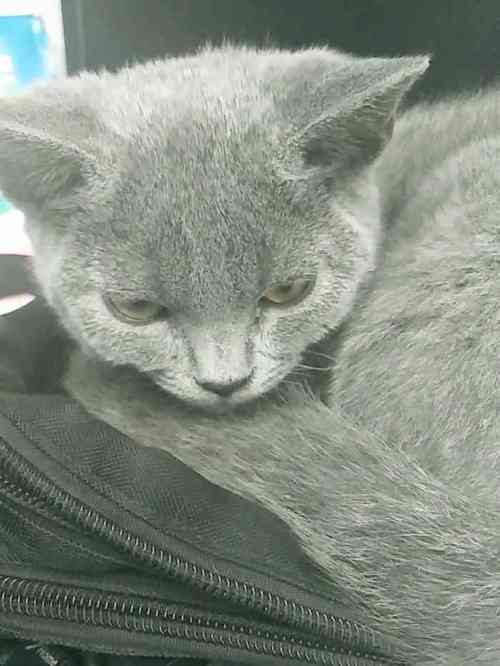 2u hair studio-"【项目】剪发 烫发在大众点评发现的,和.