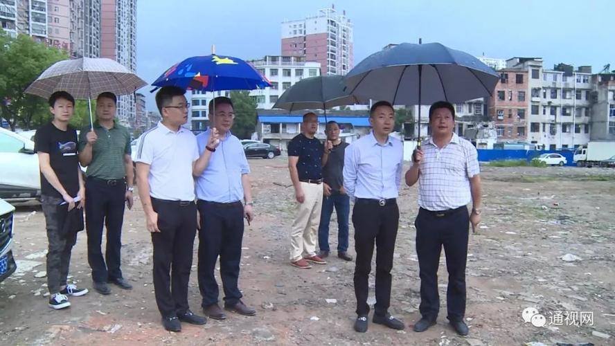 深圳壹然集团到通城县考察投资环境