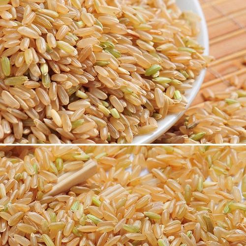 溢田稻花香糙米500g3真空礼盒装