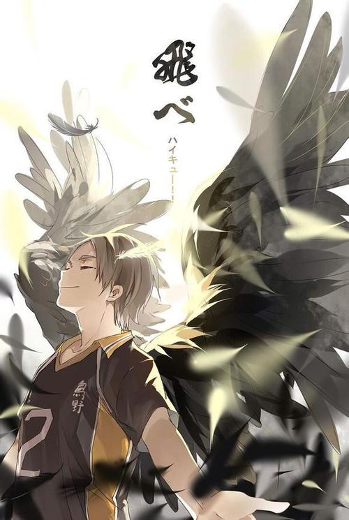 排球少年 - 堆糖,美图壁纸兴趣社区