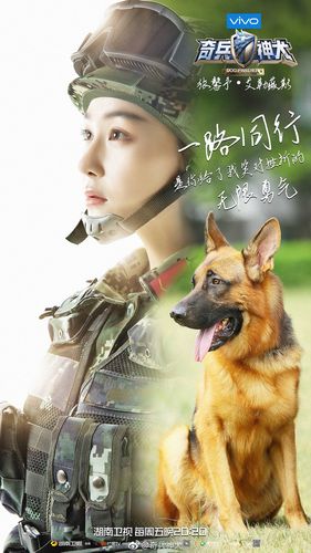 【#奇兵神犬#同行海报】