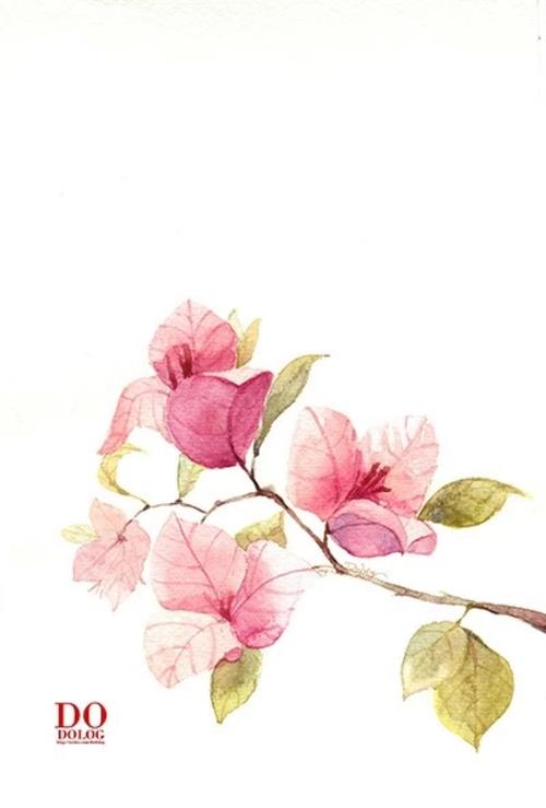 小清新壁纸.插画*黑白*花朵*古风.