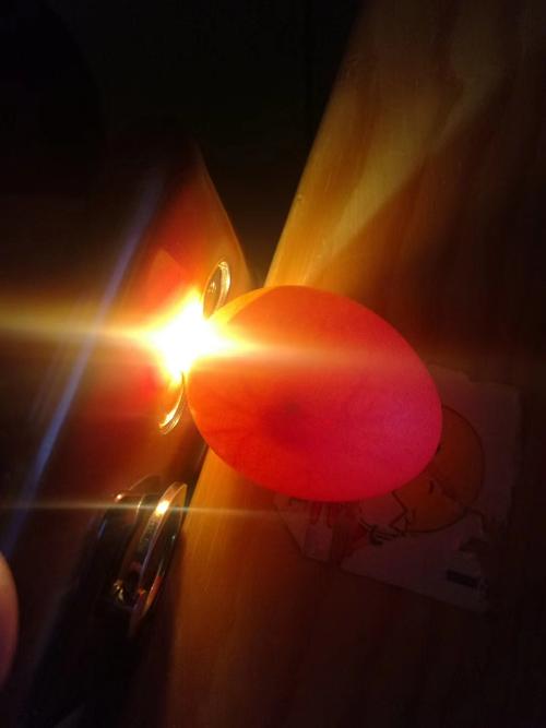 说说我最近孵小鸡的趣事