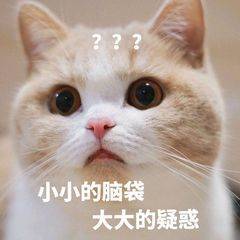 小小的脑袋,大大的疑惑