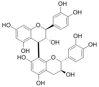 原花青素b3cas23567239中药对照品标准品