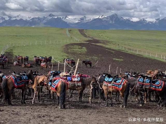 伊犁特克斯喀拉峻大草原——人间的天堂