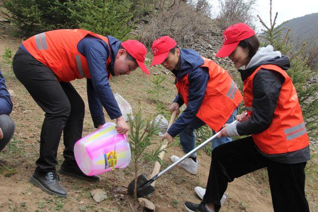 "朝阳"添"新绿"—共青团阿坝州委青年志愿者开展义务植树活动