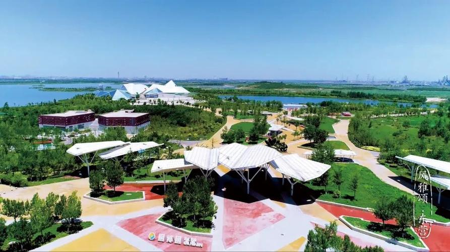 我行过许多地方的桥,东营却是住在心底的桃花源