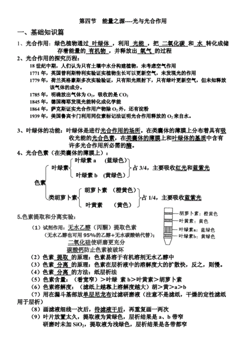 光合作用呼吸作用知识点.doc 4页