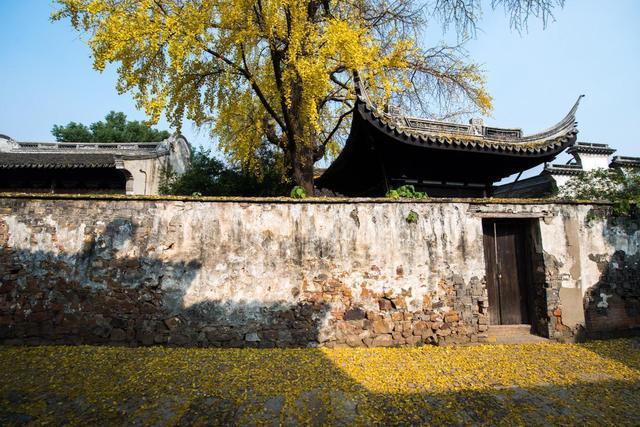 江南古镇的秋天美成什么样无锡惠山古镇秋季最美出片地推荐