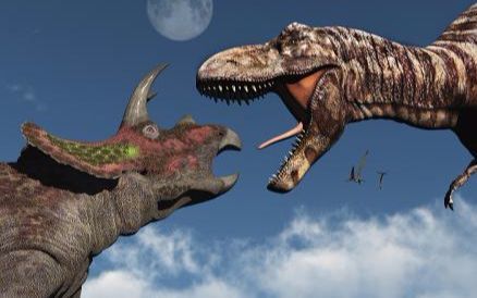 孩子问我三角龙和霸王龙谁更厉害,我该如何回答?