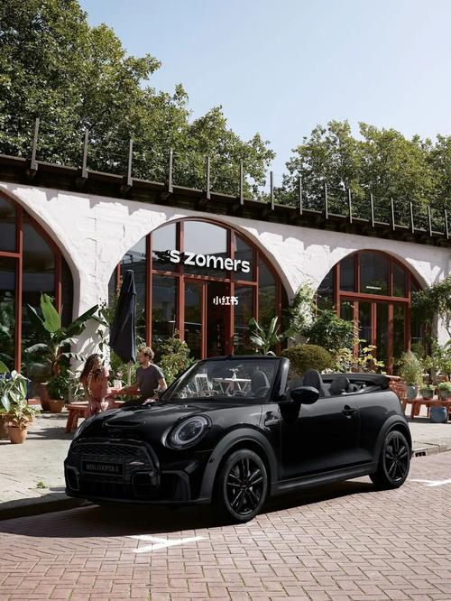 黑标mini特别版_汽车_汽车_汽车介绍