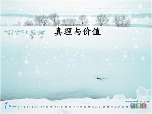 马哲论文《真理与价值》ppt