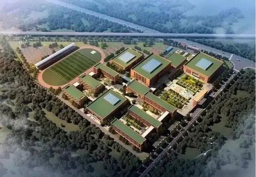 收藏 1,建成 彩虹第二中学,加快 新渭城中学,高新学校,梦桃学校建设