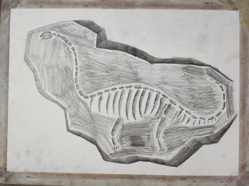 16素描《恐龙化石》第二阶段