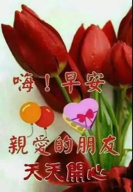 下午好动态图片大全问候语温馨图片表情