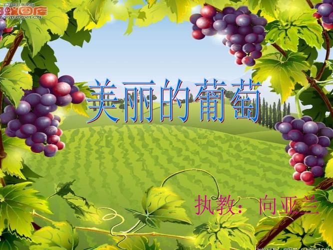 美丽的葡萄课件.ppt