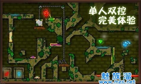 森林冰火人meme