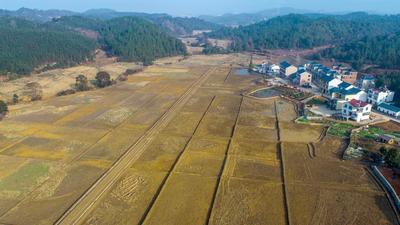 江西峡江:积极推进高标准农田建设