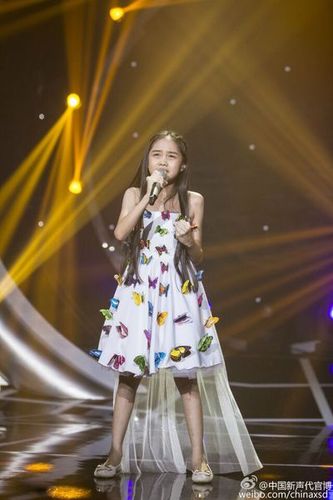 汤晶锦的废纸裙子有更清晰的图片吗?