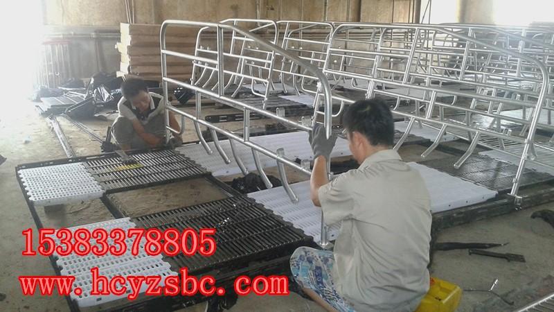 河北省沧州市弘昌供应常规猪场自动化饲喂设备设计育肥猪料线货运物流